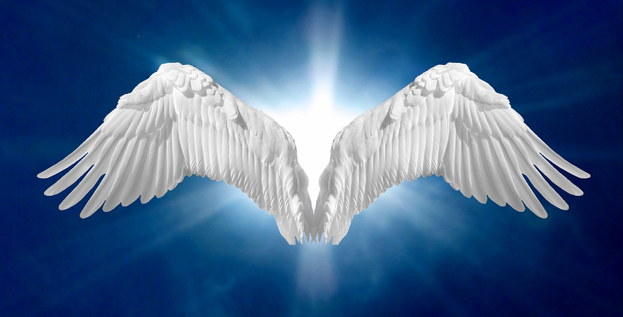 Angel Wings 2